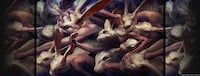Brawling Beast Bloodbaths Image 3