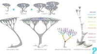 Glowing Filtration Trees Image 2