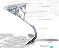 Glowing Filtration Trees Image 3