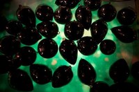 Creepy Bio Art Image 5