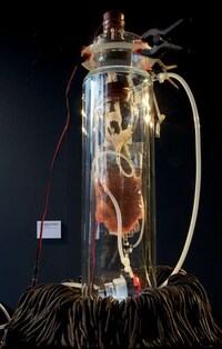 Creepy Bio Art Image 6