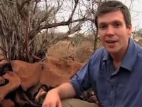 Decomposition Time Lapses Image 4