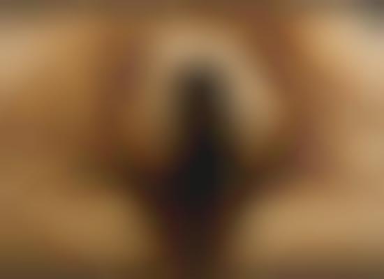 Adorable Canine Compilations