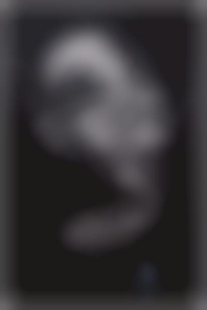 Chewy Icon Campaigns