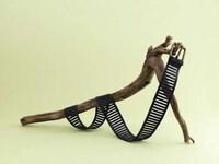 Forest-Inspired Accessories Image 4