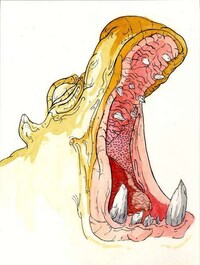 Wild Watercolor Illustrations Image 3