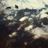 Cumulus-Consumed Snapshots Image 6