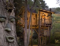 Resplendent Tree Retreats Image 4