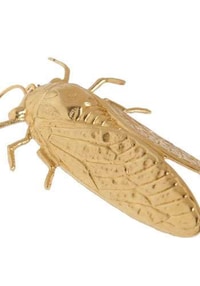 Summer Insect Jewelry Image 2