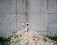 Wild Photographic Encounters Image 5