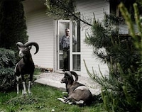 Wild Photographic Encounters Image 7
