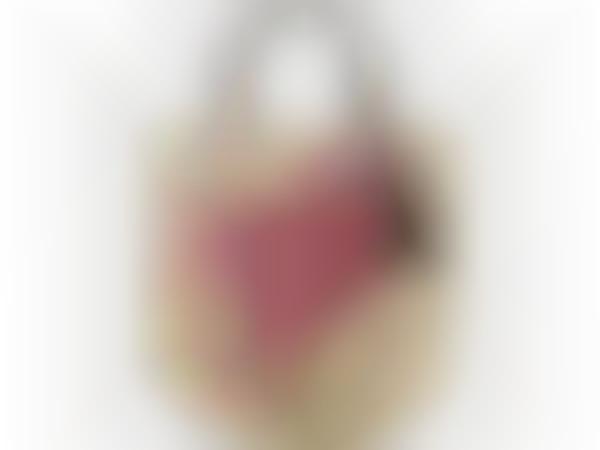 Ethical Designer Satchels