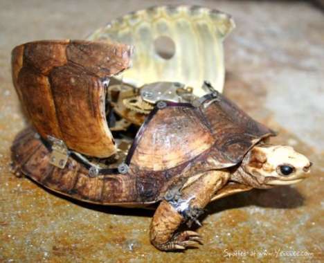 18 Animalistic Steampunk Creations