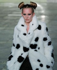 Spotted Canine Couture Image 2