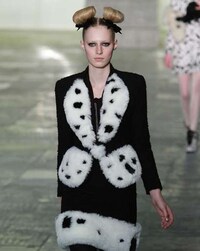 Spotted Canine Couture Image 3