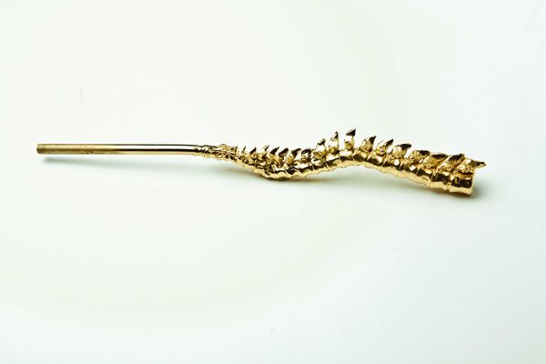 Anatomical Smoking Accessories