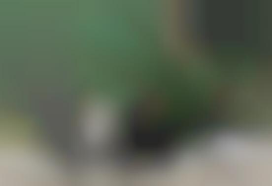 Social Media Baby Names