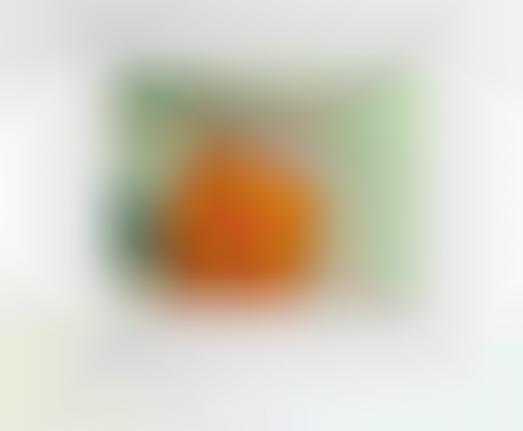 Funny Feline Stereotypes