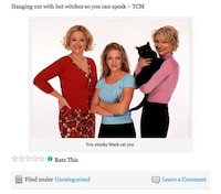Funny Feline Stereotypes Image 3