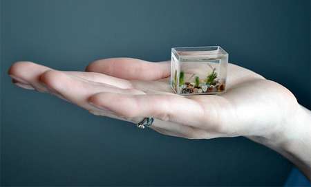 Minuscule Marine Tanks