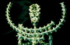 Bone-Baring Sculptures