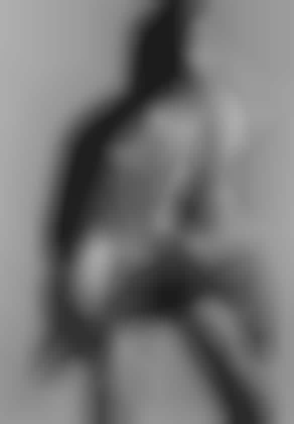 Wildly Contemporary Shoots
