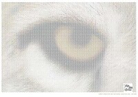 Materialistic Mosaic Marketing Image 2