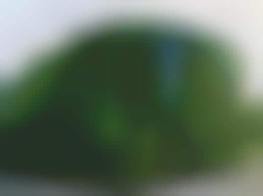 Green Wall Abodes