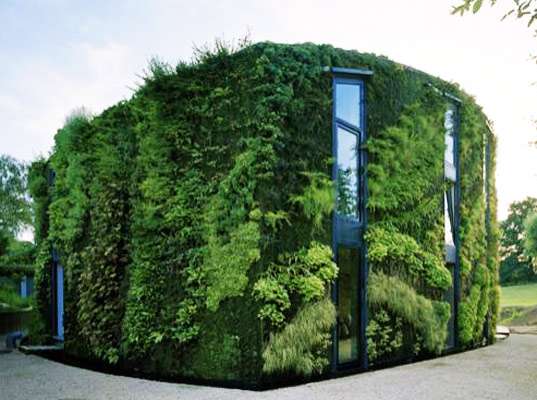 Green Wall Abodes