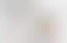 Shift Perspective, Spark a Revolution