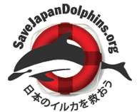 Save the Dolphin Jewelry Image 6