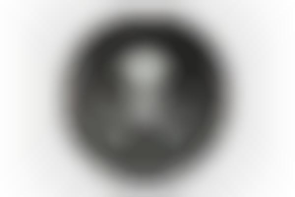 Skulltastic Designer Gear