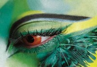 Exotic Flighty Fashion Image 6