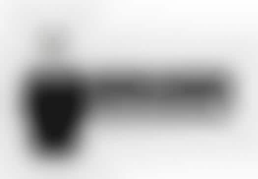 Whistle-Blowing Websites