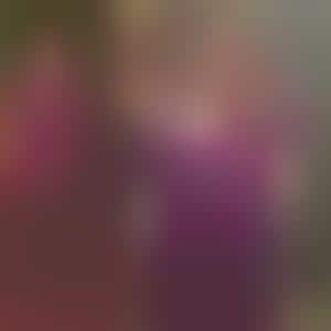 Plantinum Red Carpet Accesories