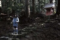 Woodland Lookbooks Image 3
