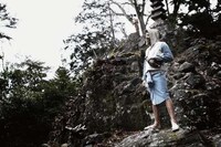 Woodland Lookbooks Image 5