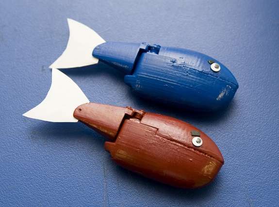 Aquatic Robots