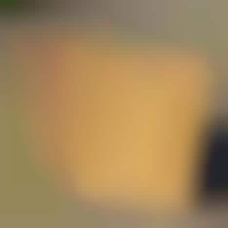 Poptastic Salutations