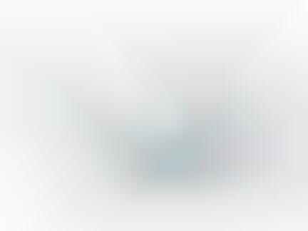 Smokin' Glass Cups