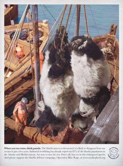 Panda Death Shockvertising