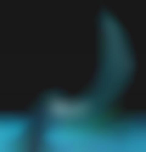 Dolphin-Inspired Armchairs