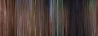 Squished Movie Frames Image 8