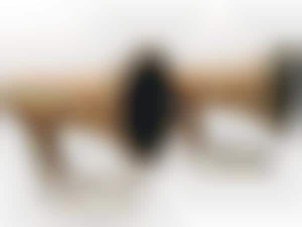 Blasting Bullhorn Sound Systems