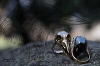 Skullptural Jewelry Image 3