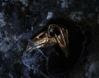 Skullptural Jewelry Image 5