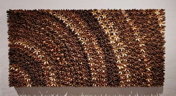 Seed Casing Artwork