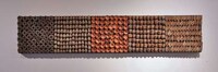 Seed Casing Artwork Image 2