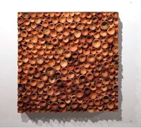 Seed Casing Artwork Image 3