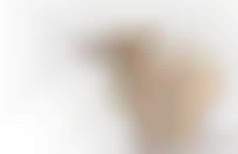 Animalistic Memo Holders